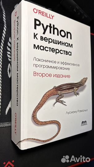 Книга по программированию python