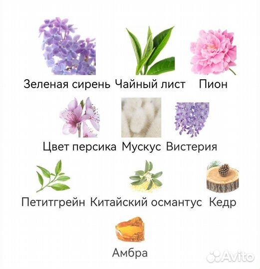 Eclat d’Arpège Lanvin для женщин