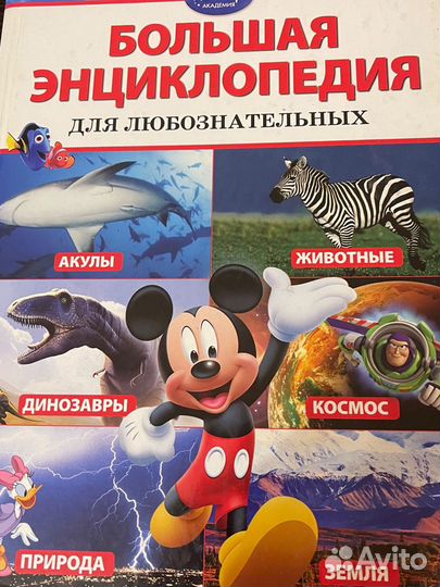 Большая энциклопедия