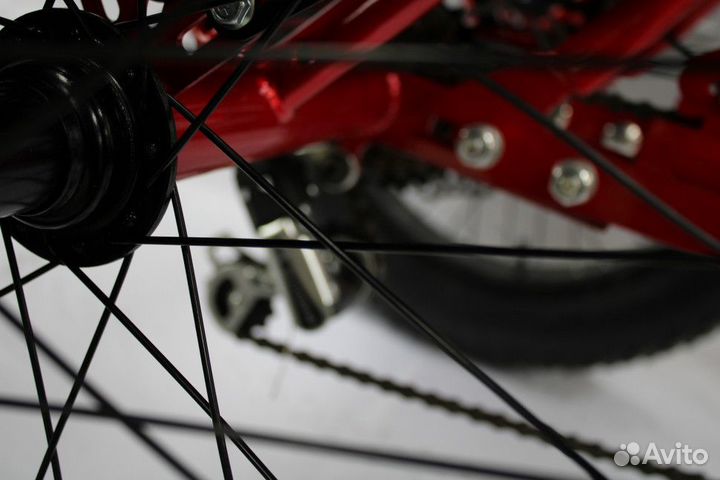 Электровелосипед GreenCamel Трайк-F20