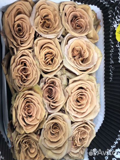 Розы доставка бесплатная