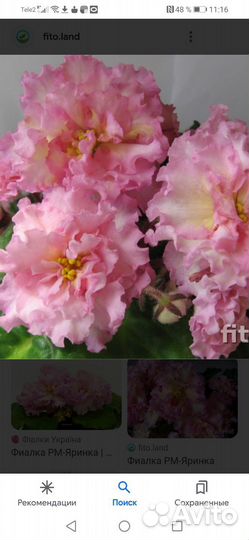 Набор листьев фиалки. Набор № 2