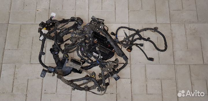 Kia Rio Жгут проводов двигателя 2011-2017 год