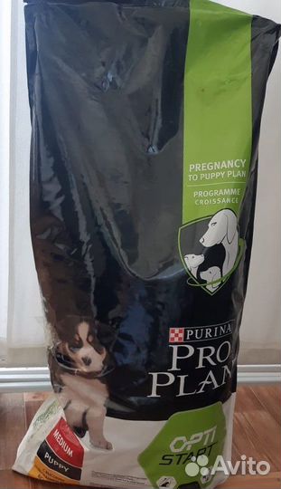 Корм для собак