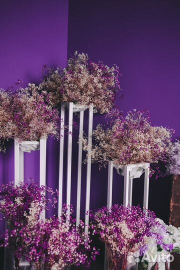 Фотостудия в центре