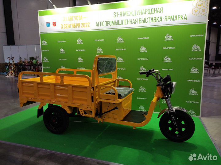 Грузовой электротрицикл Antrike 500