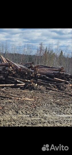 Неделовая древесина