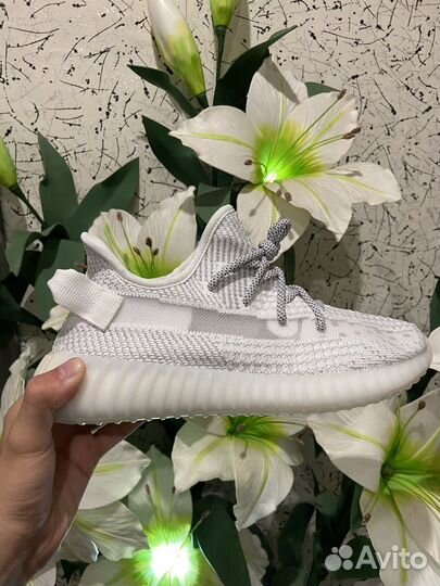 Adidas yeezy boost 350