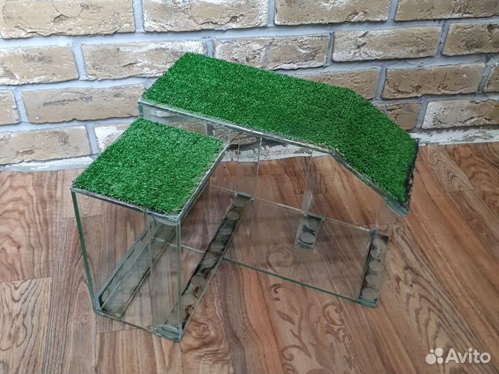 Берег для водной черепахи