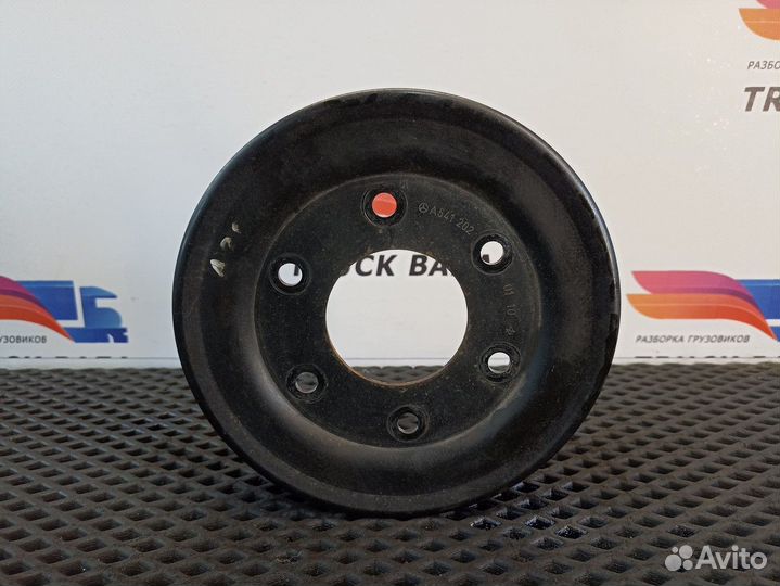 A5412020110 Шкив водяного насоса