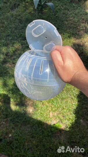 Прогулочный шар для грызунов