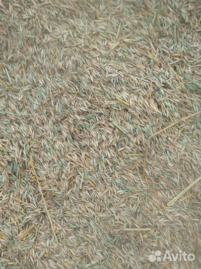 Зерноотходы