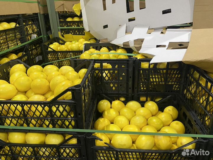 Овощи фрукты оптом