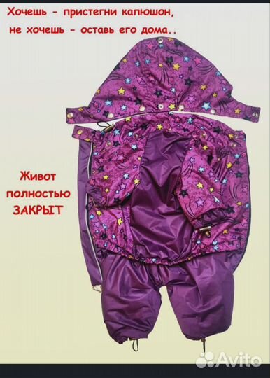 Одежда для маленьких собак