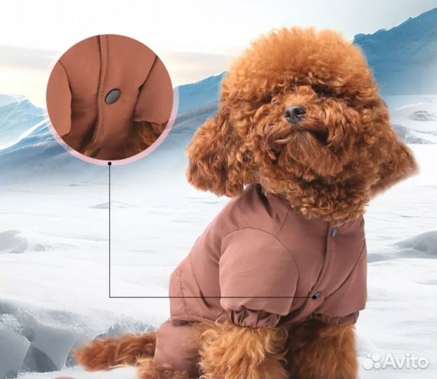 Комбинезон для собаки woofman