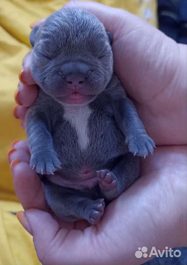 Одинокий мужчина желает познакомиться