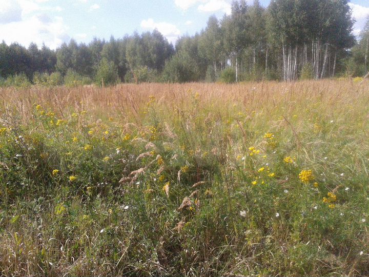 Участок 8 сот. (ИЖС)