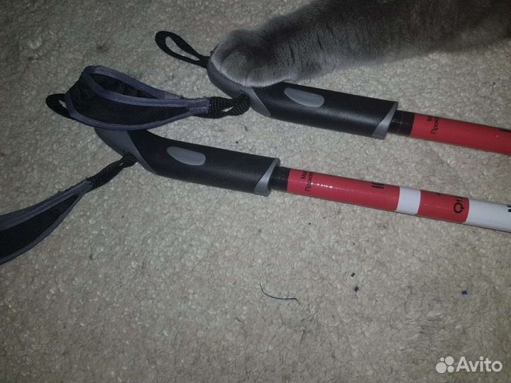 Ботинки и палки для беговых лыж