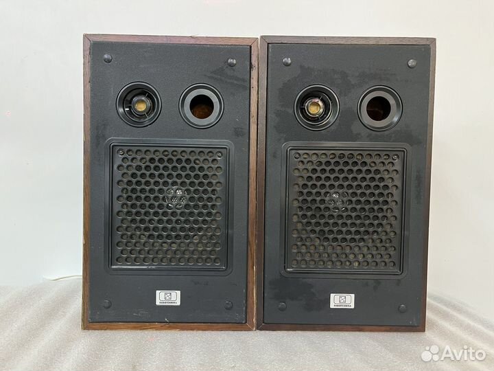 Акустическая система колонки Радиотехника