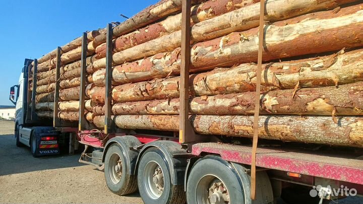 Пиловочник Доставка Круглый лес