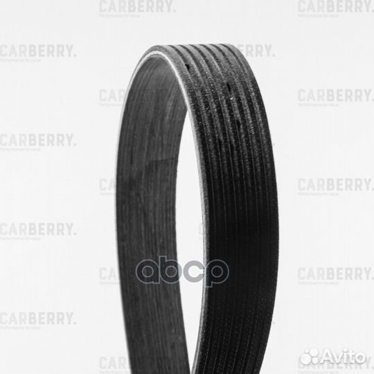 Universal 7PK2060 carberry