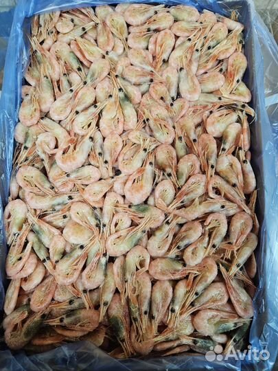Креветка северная 5кг