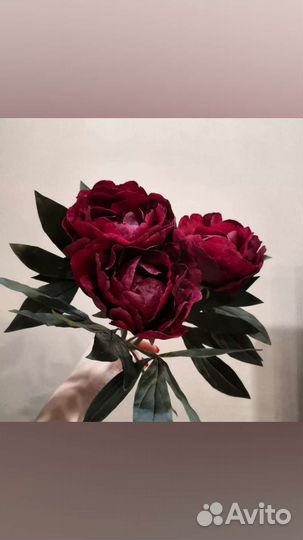 Искусственные пионы