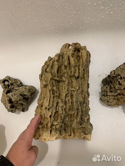 Камень песчанник в аквариум