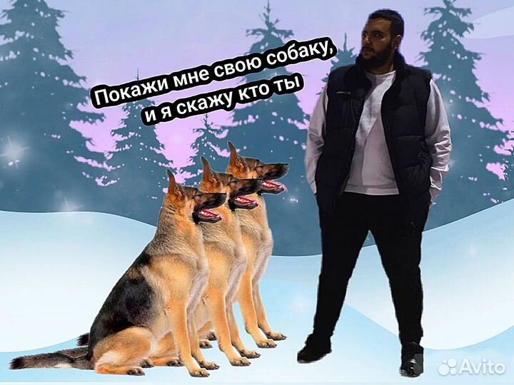 Кинолог - инструктор, дрессировка собак