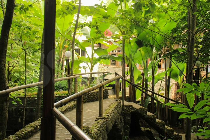 Общепит 3000 м² (Грузия)