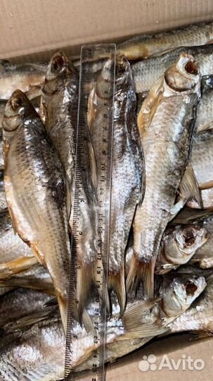 Рыба вяленая, холодного копчения оптом