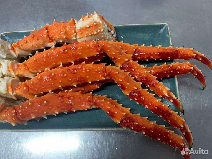 Клешни камчатского краба