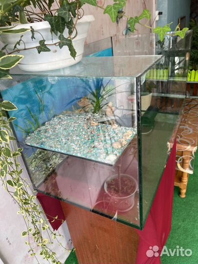 Продаю черепашник