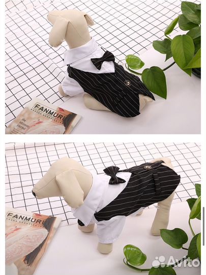 Костюм для собак