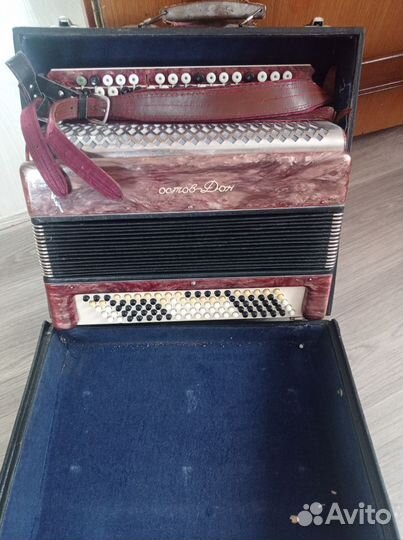 Баян Ростов-Дон