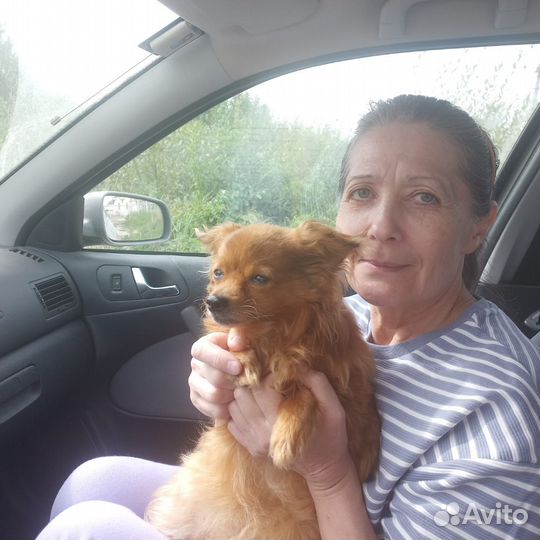 Уборщица Клининг