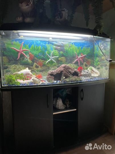 Аквариум с тумбой 180 литров
