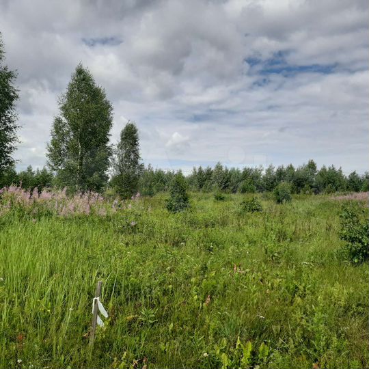 Участок 10 сот. (ИЖС)