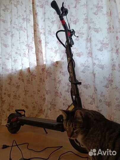 Электросамокат Kugoo Kirin X1