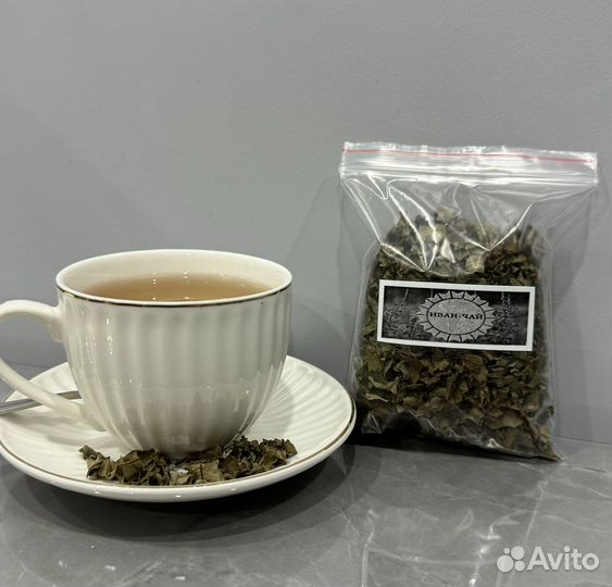 Иван -чай 2024 года