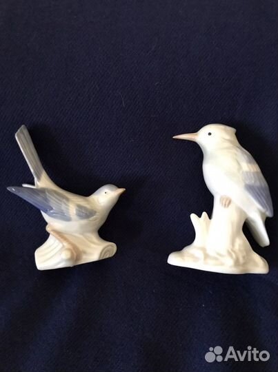 Птицы Германия