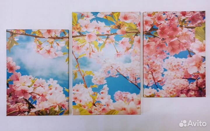 Модульная картина Сакура 101*53см