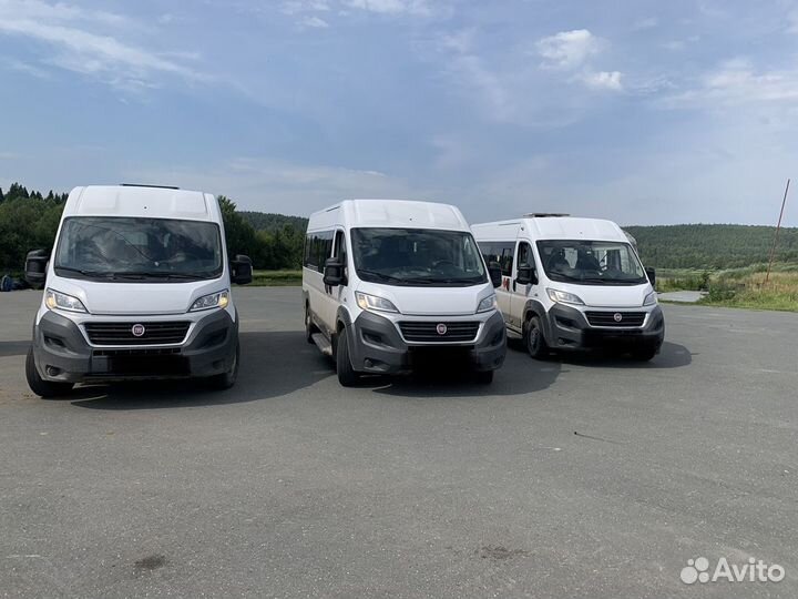 Автобус аренда