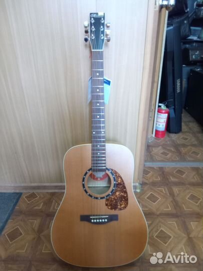 Norman Protege B18 Cedar