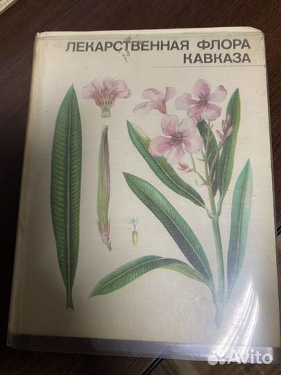 Винтажная книга о растениях