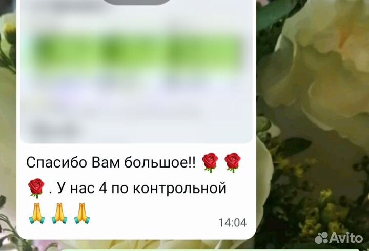 Репетитор по математике