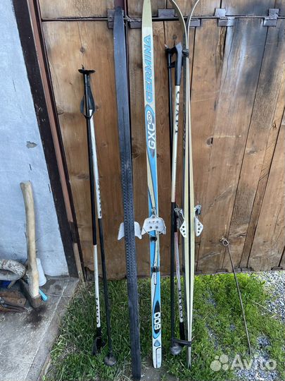 Беговые лыжи