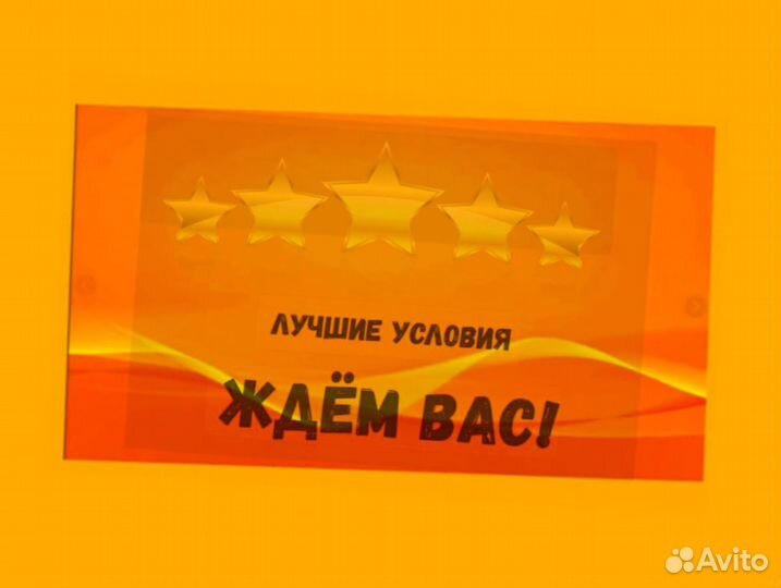 Сортировщик Еженедельный аванс Спецодежда М/Ж