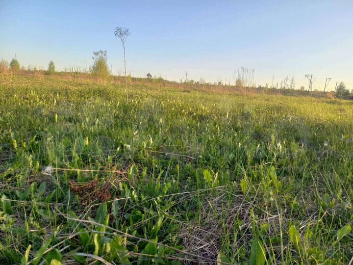 Участок 20 сот. (ИЖС)