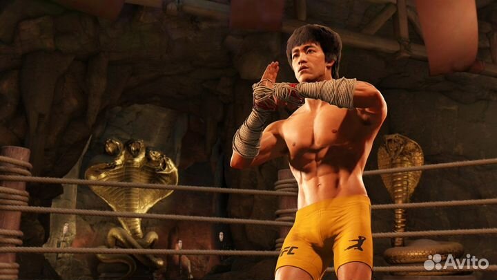 UFC 4 для ps4 ps5, deluxe версия